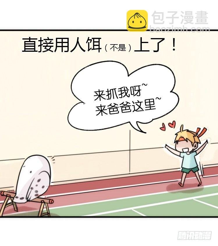 飞吧小少爷：减肥记