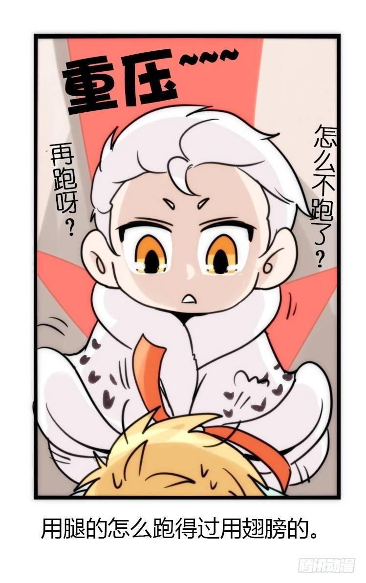 飞吧小少爷：减肥记