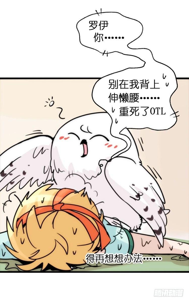 飞吧小少爷：减肥记