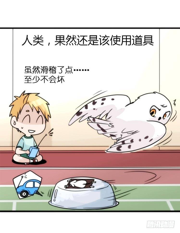飞吧小少爷：减肥记