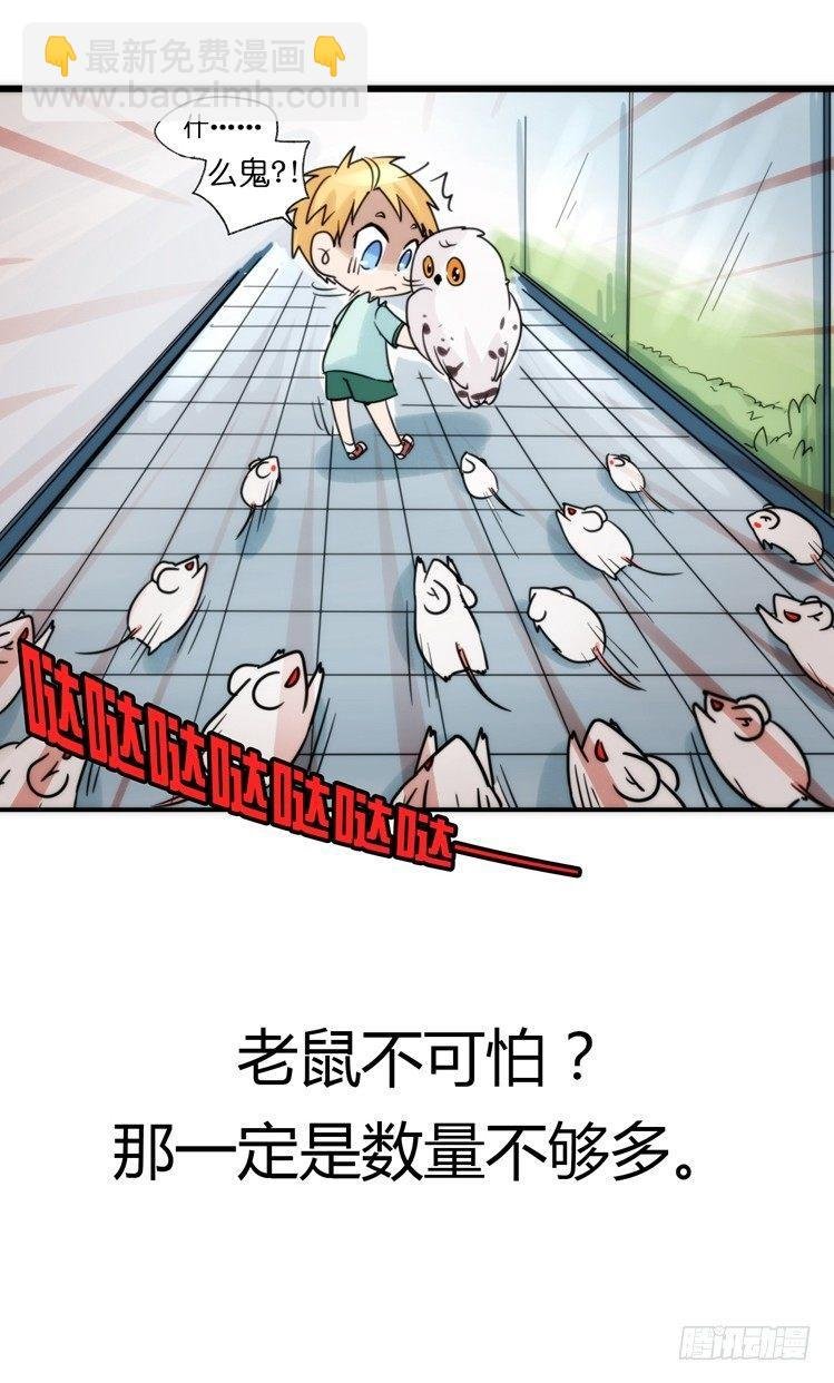 飞吧小少爷：减肥记