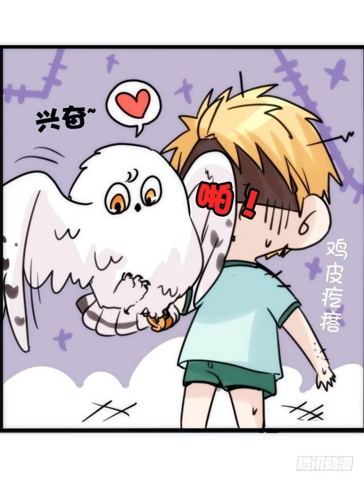 飞吧小少爷：减肥记