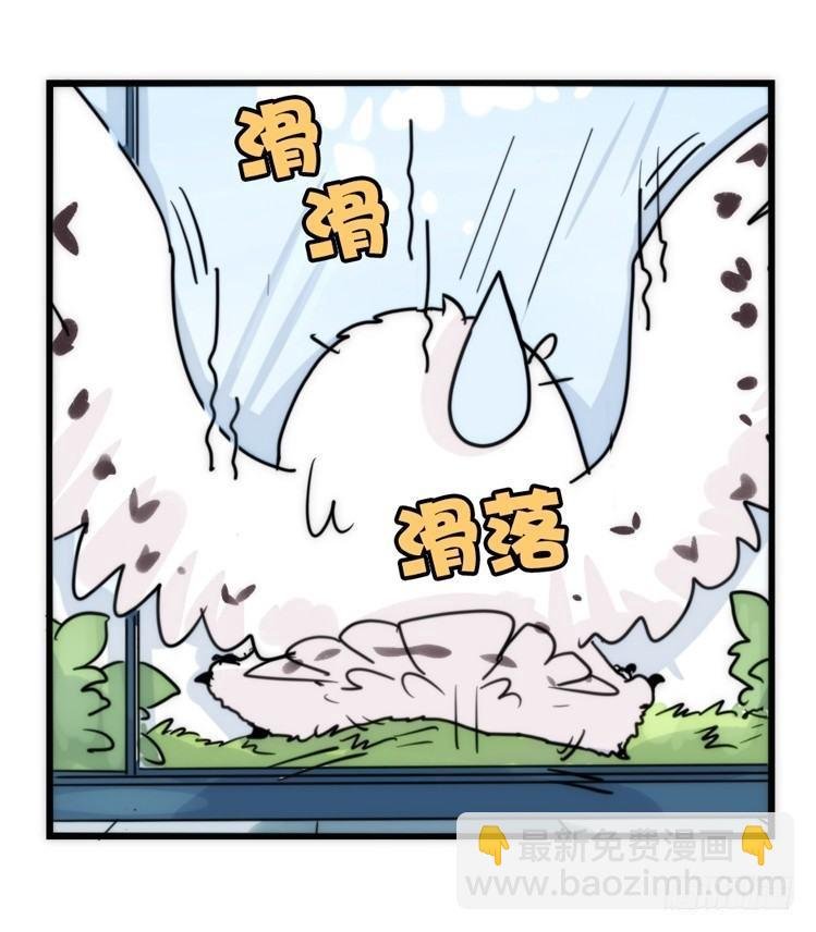 飞吧小少爷：减肥记