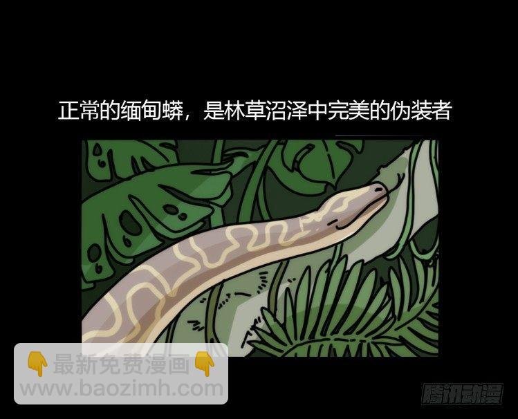 动协在行动07：自救联盟