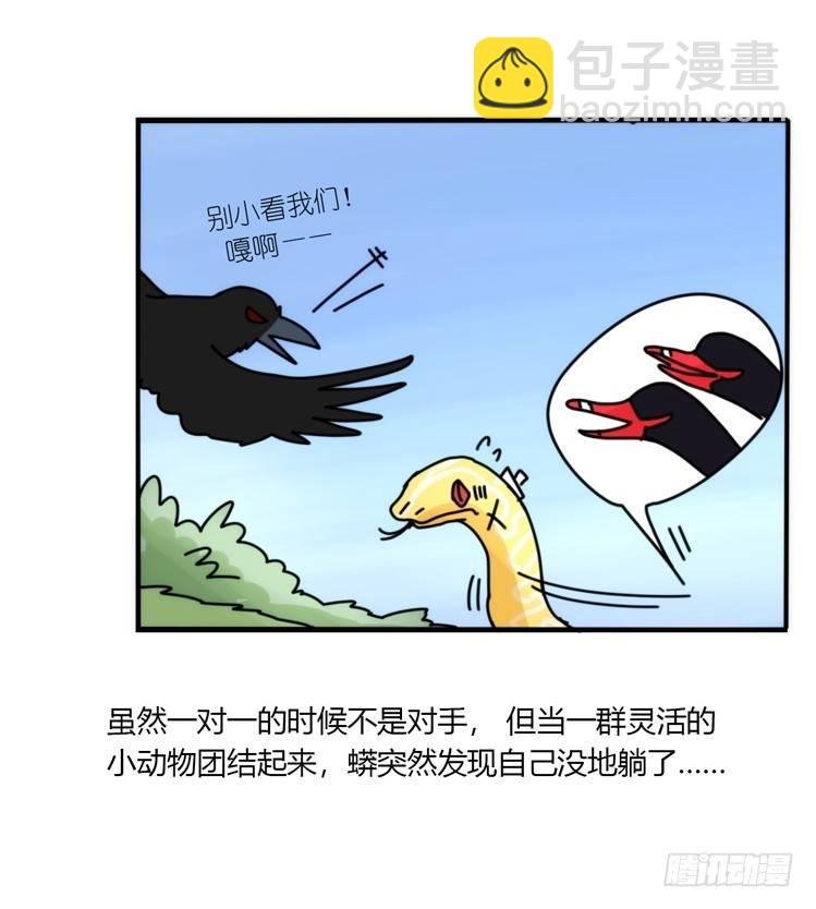 动协在行动07：自救联盟