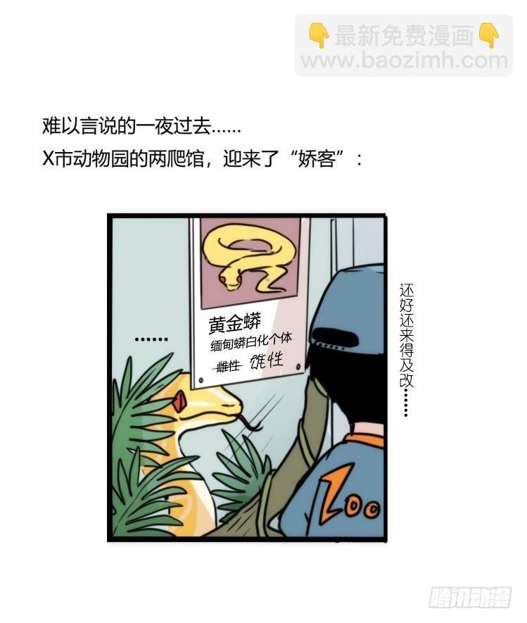 动协在行动09：小公主？！