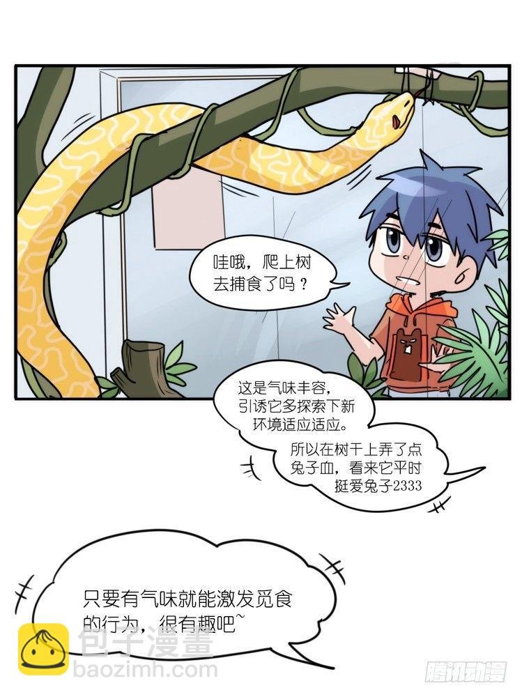 动协在行动09：小公主？！