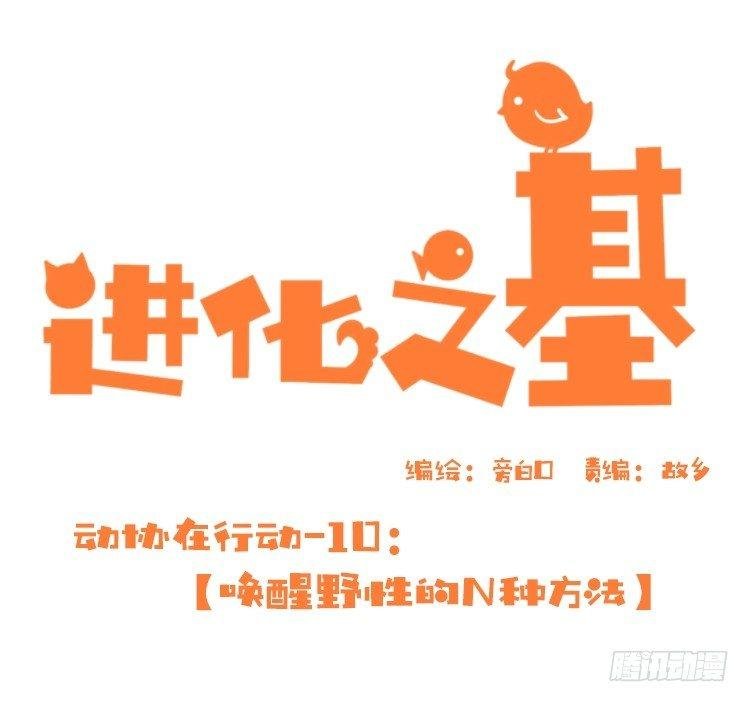 动协在行动10：召唤野性的方法
