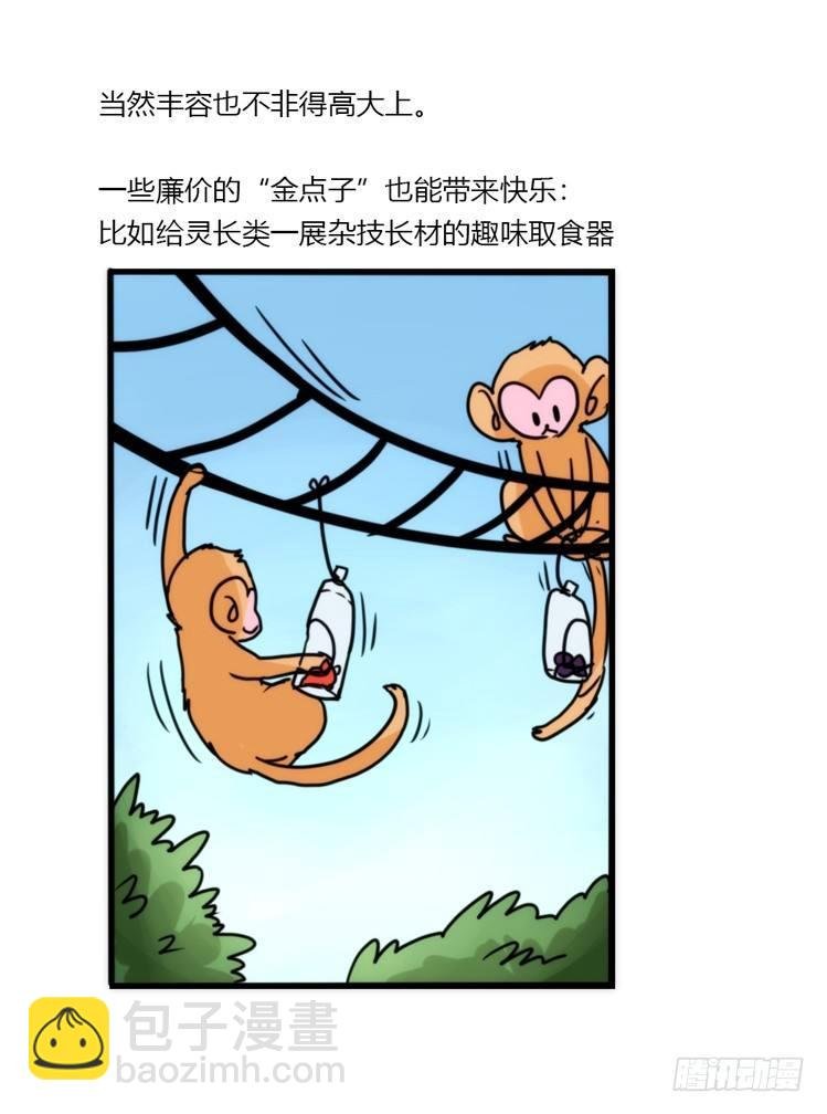 动协在行动10：召唤野性的方法