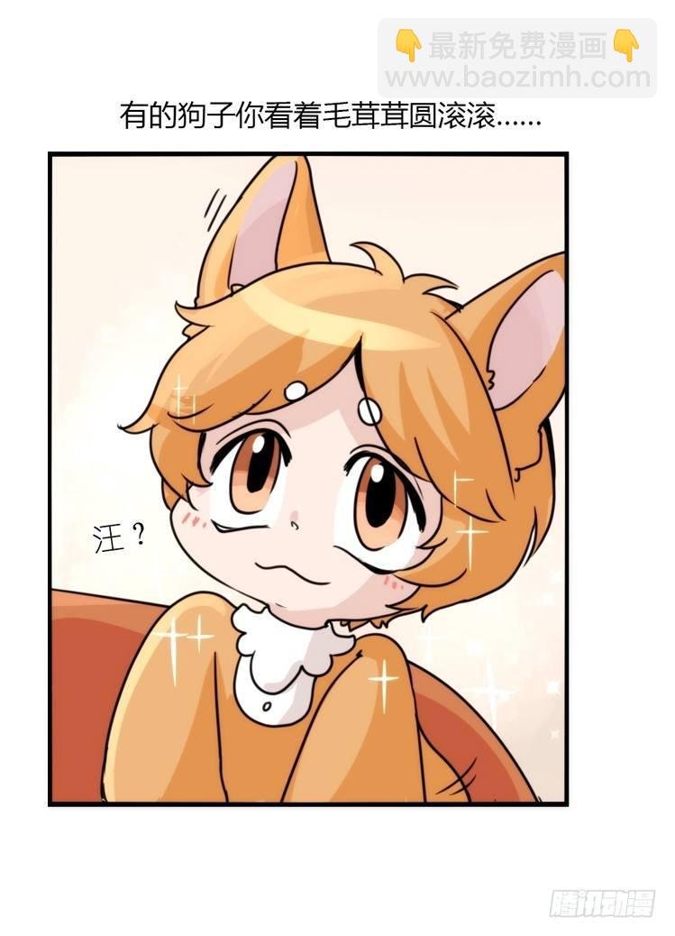 动协在行动10：召唤野性的方法