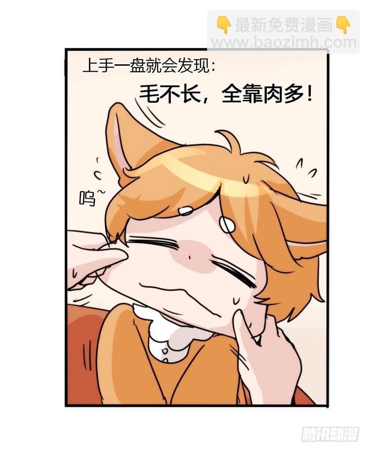 动协在行动10：召唤野性的方法