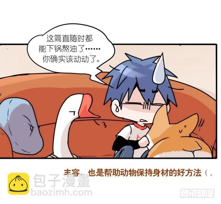 动协在行动10：召唤野性的方法