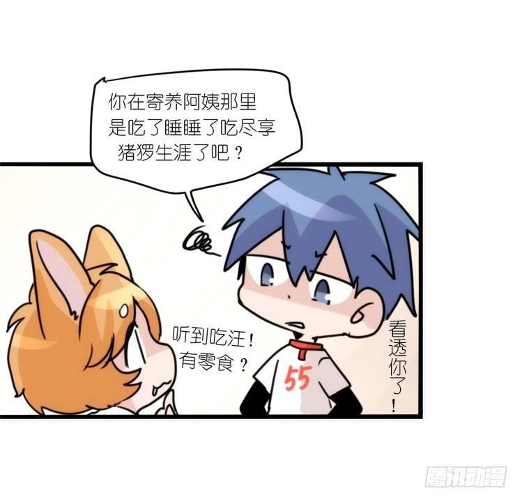 动协在行动10：召唤野性的方法