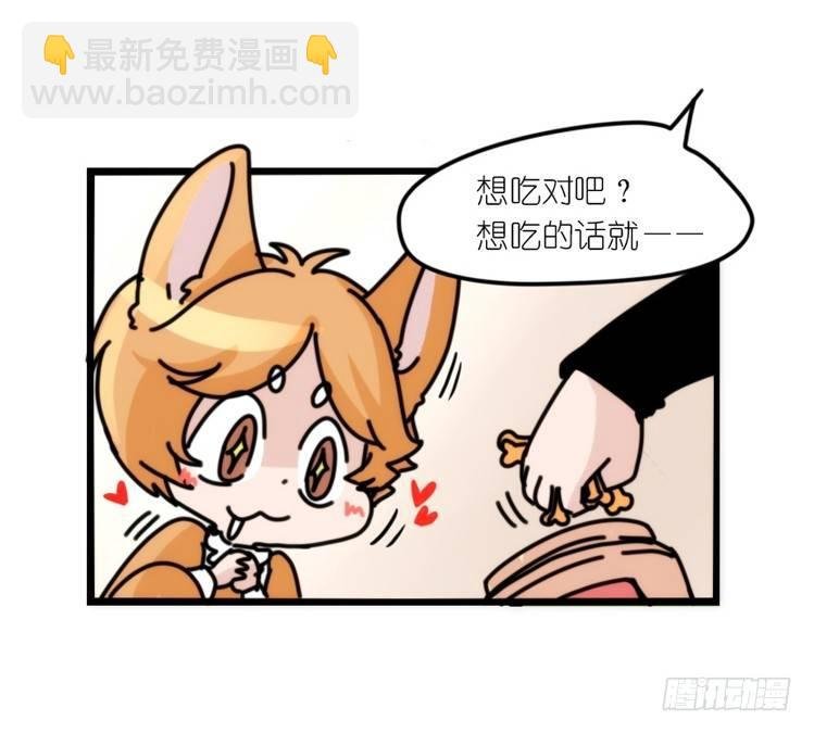 动协在行动10：召唤野性的方法