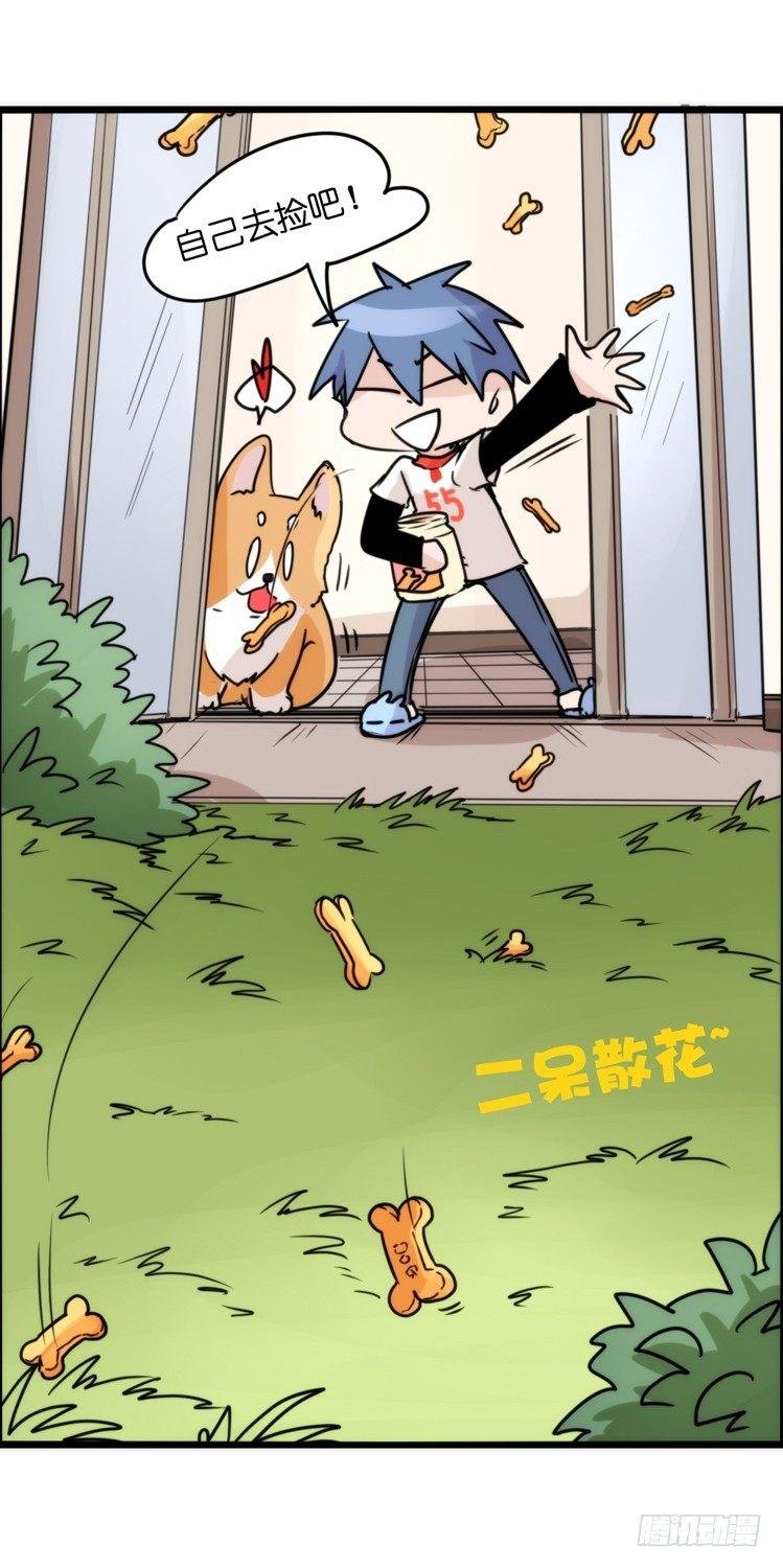 动协在行动10：召唤野性的方法