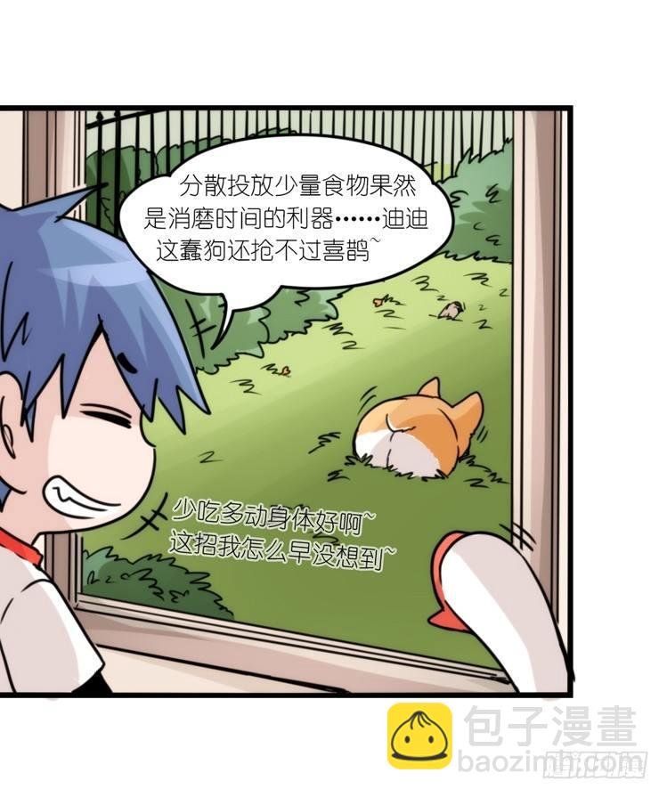 动协在行动10：召唤野性的方法