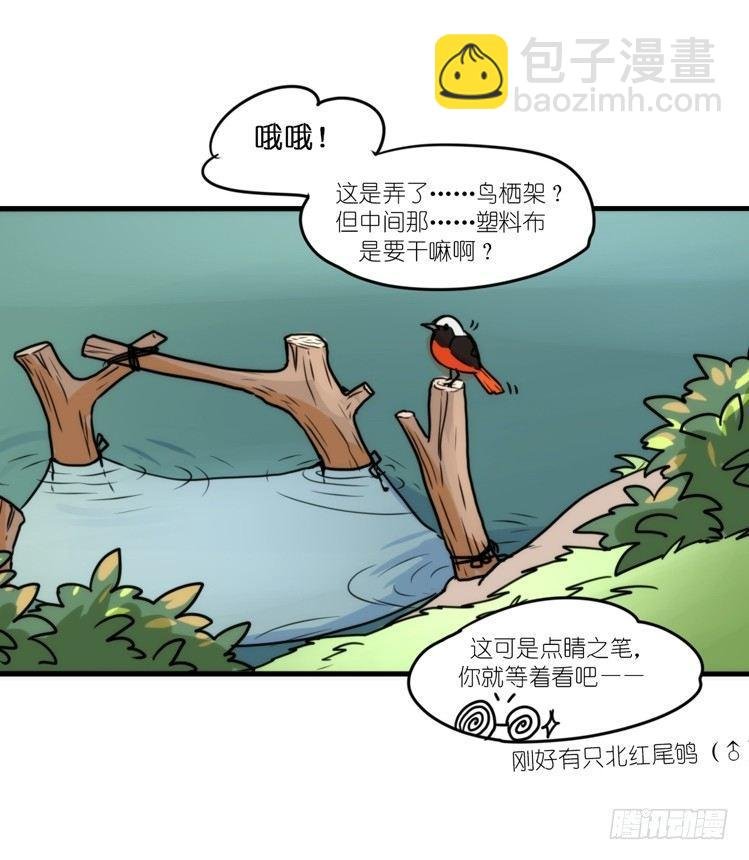 动协在行动10：召唤野性的方法