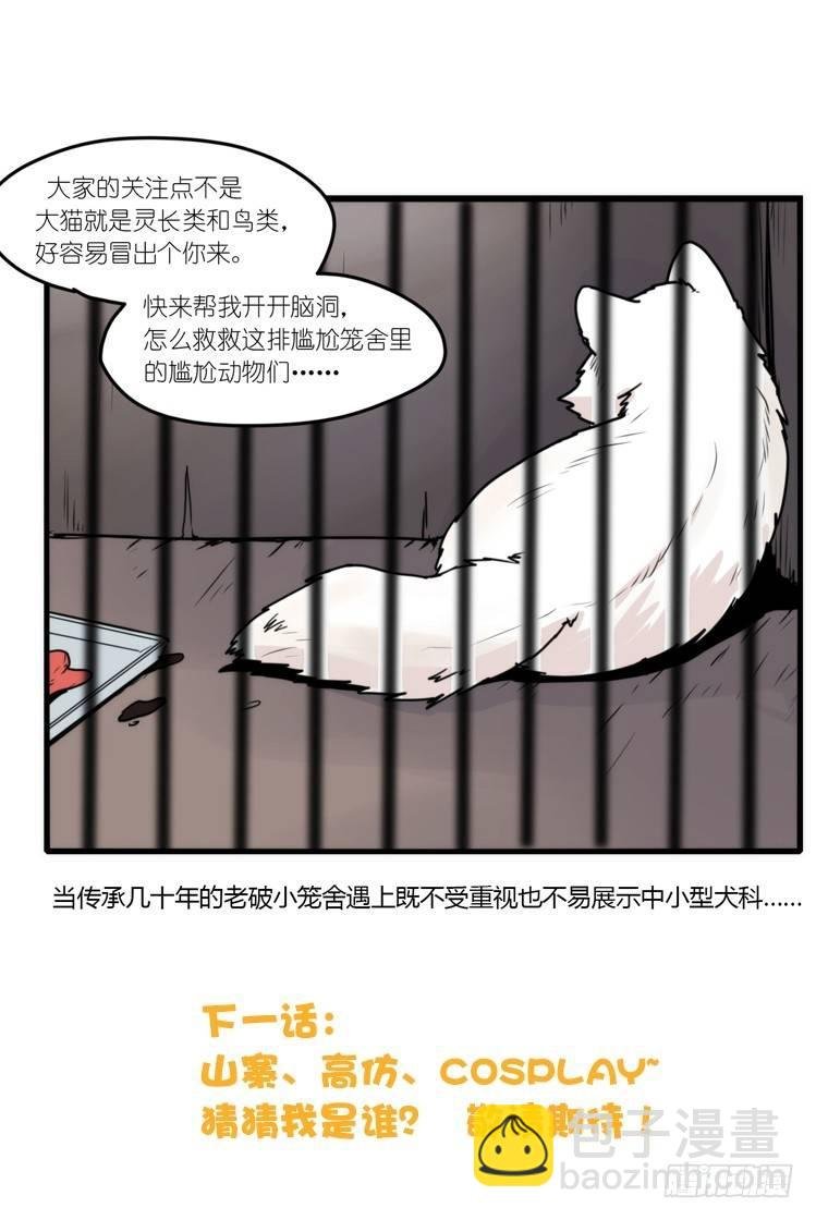动协在行动10：召唤野性的方法