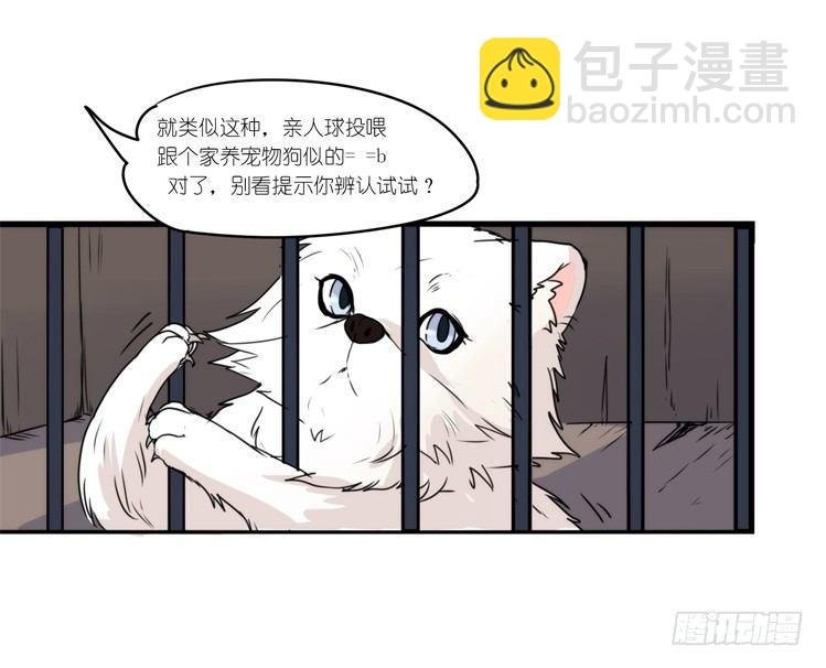 动协在行动11：cos大佬？！