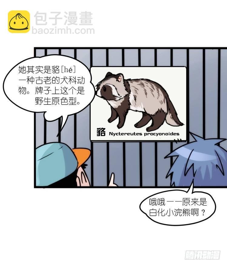 动协在行动11：cos大佬？！