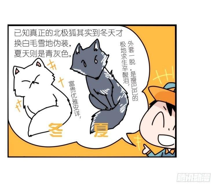 动协在行动11：cos大佬？！