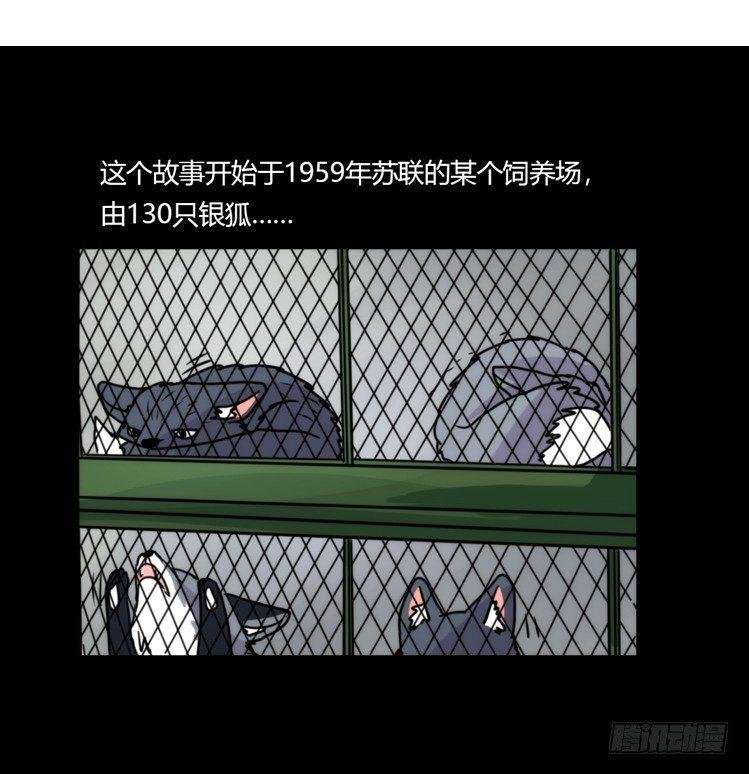 动协在行动11：cos大佬？！