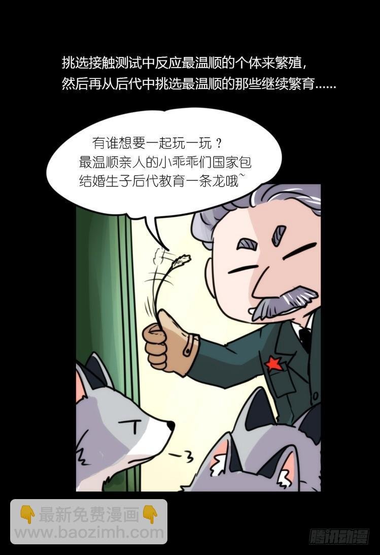 动协在行动11：cos大佬？！