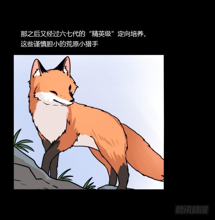 动协在行动11：cos大佬？！