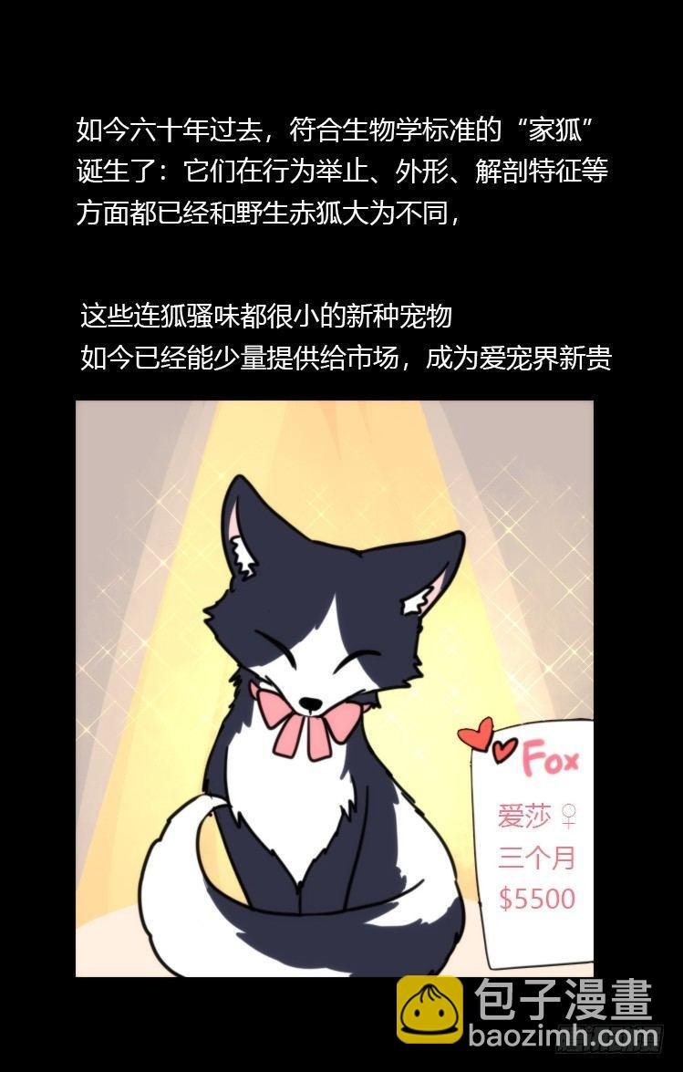 动协在行动11：cos大佬？！