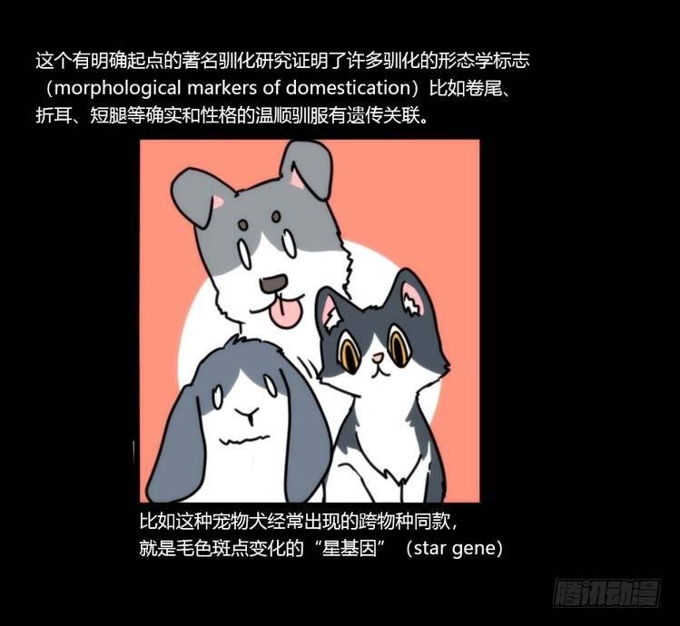 动协在行动11：cos大佬？！