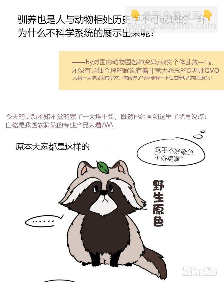 动协在行动11：cos大佬？！