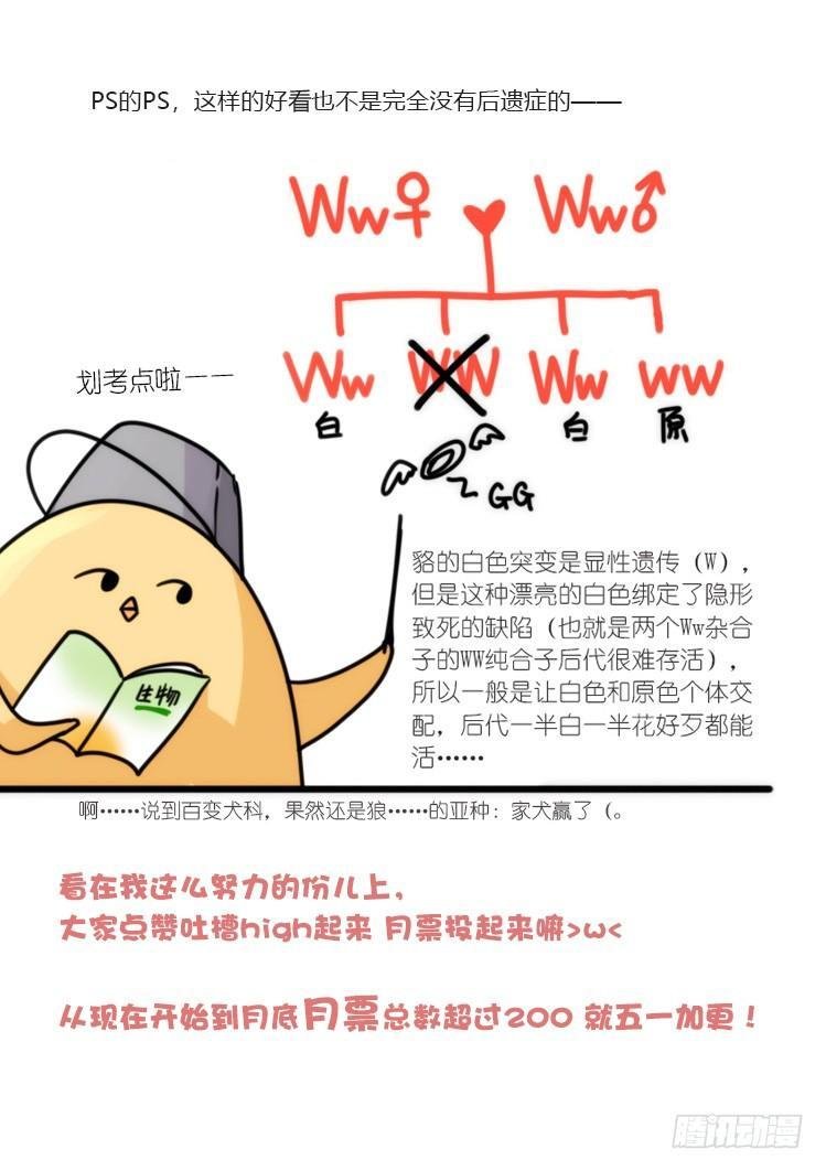 动协在行动11：cos大佬？！