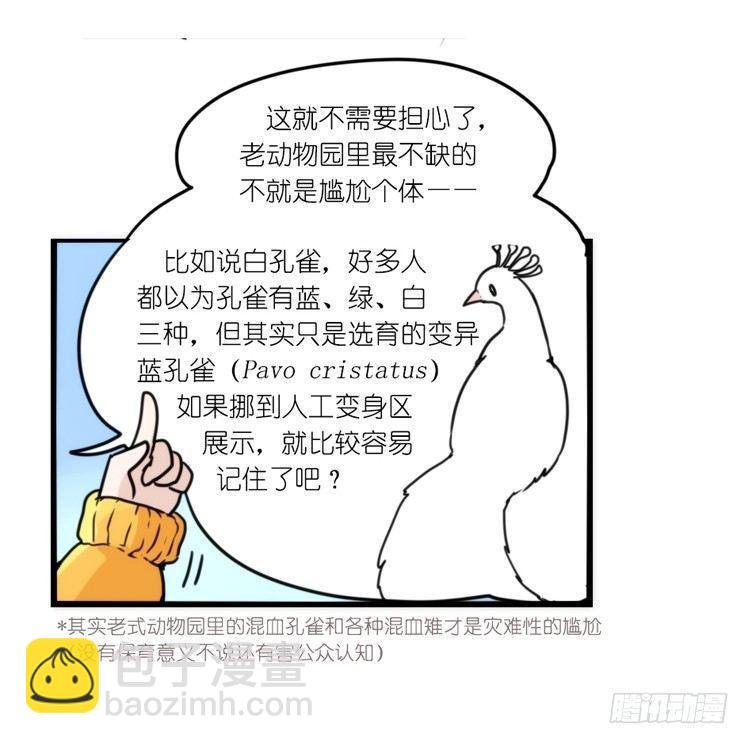 动协在行动：理想VS现实