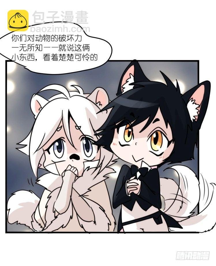 动协在行动：理想VS现实