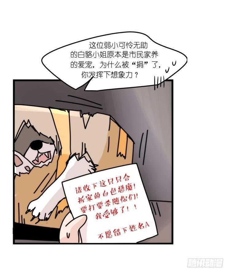 动协在行动：理想VS现实