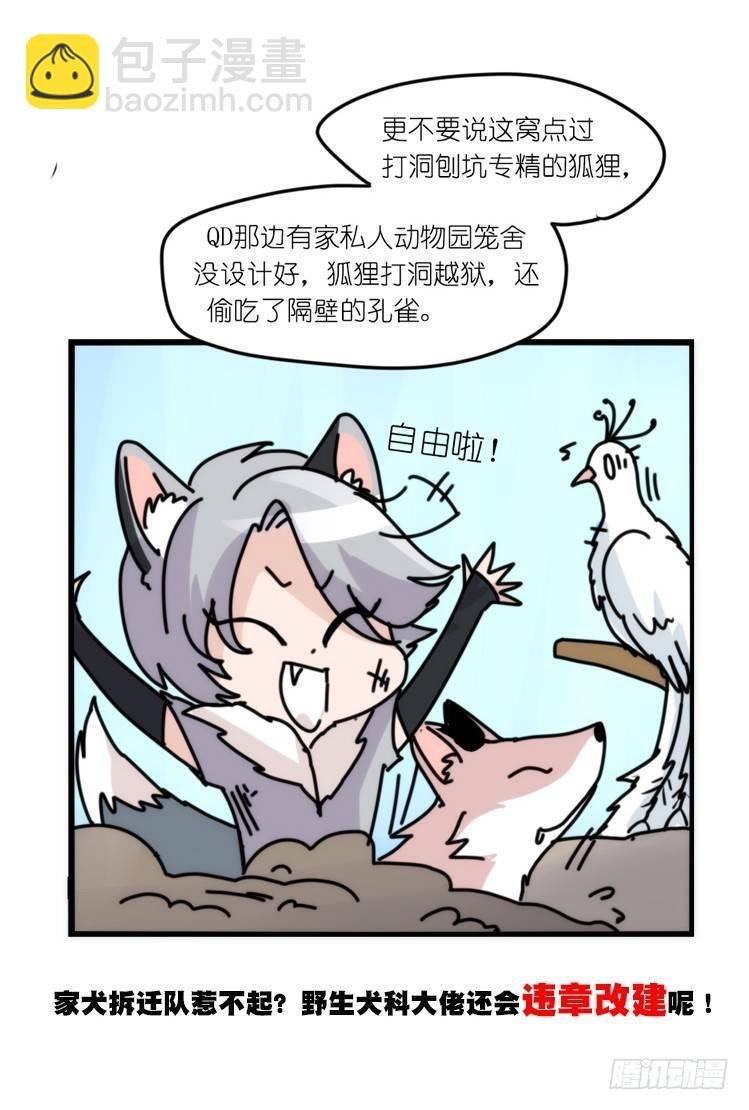 动协在行动：理想VS现实