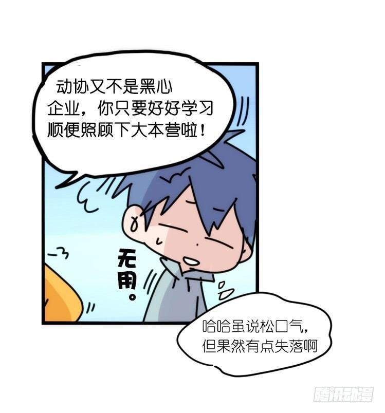 动协在行动：理想VS现实