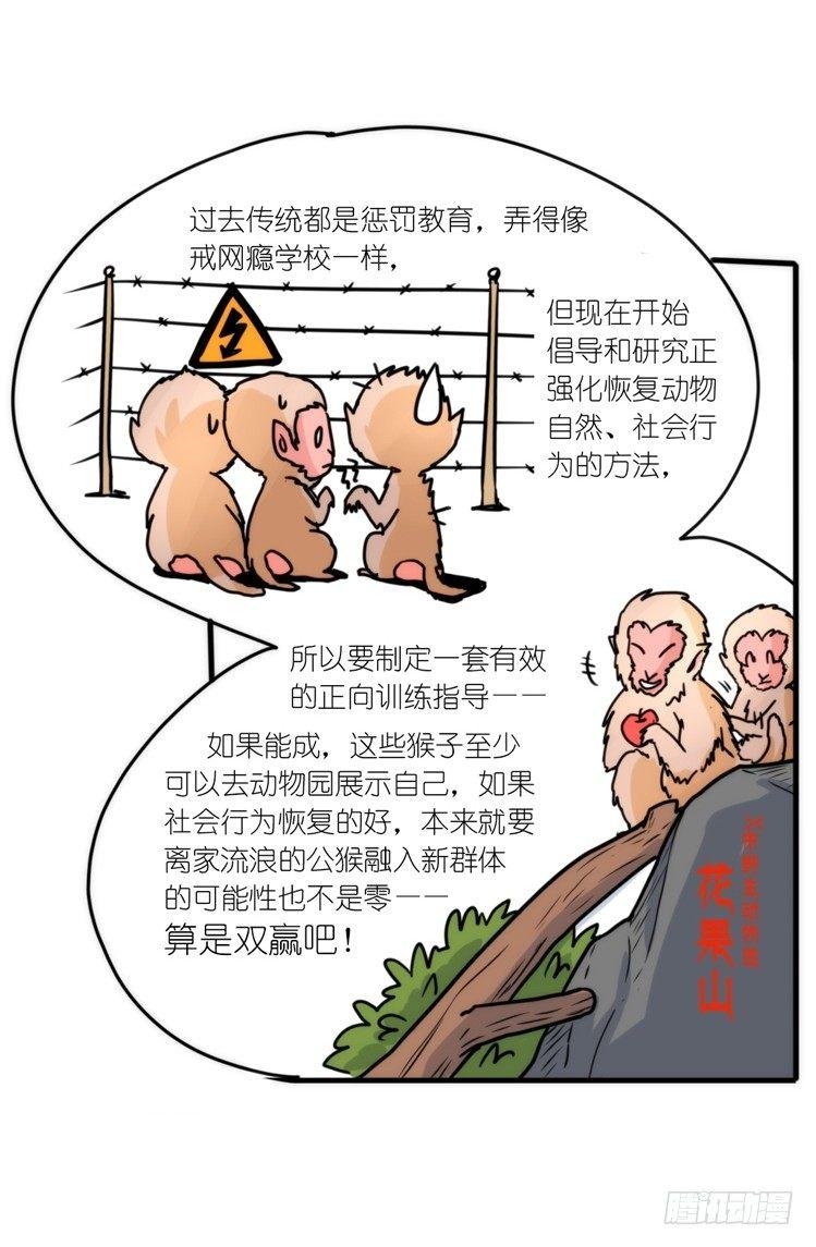 动协在行动15：正确调教法？