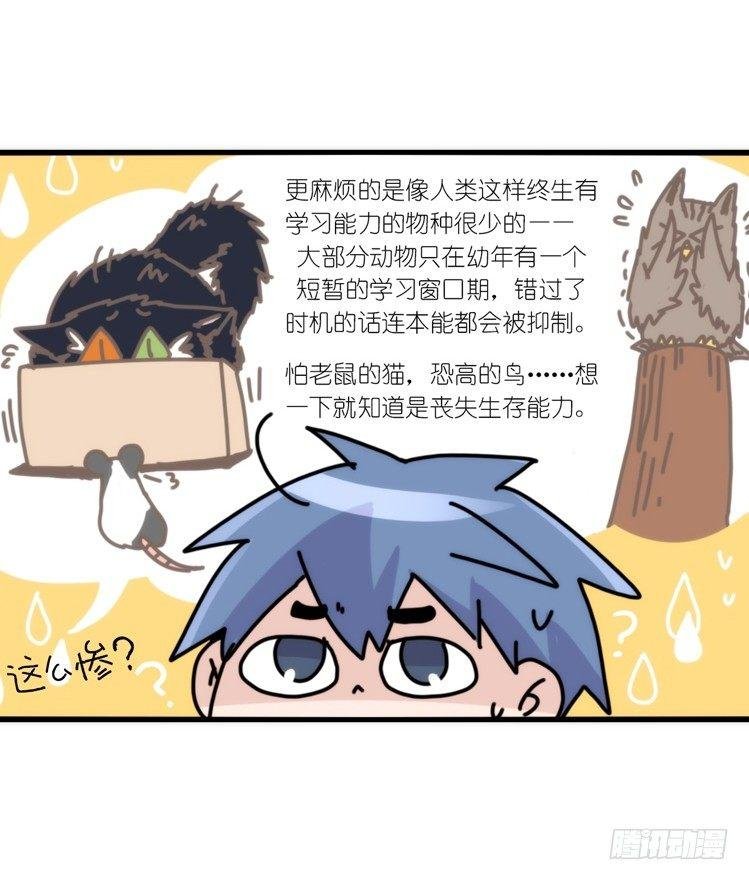 动协在行动15：正确调教法？