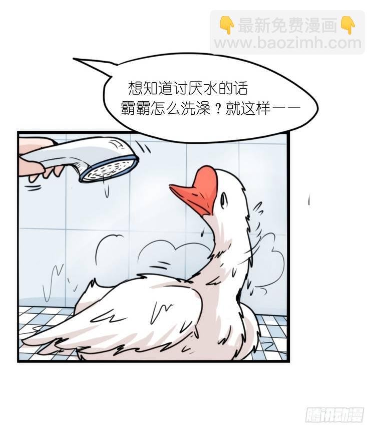 动协在行动15：正确调教法？