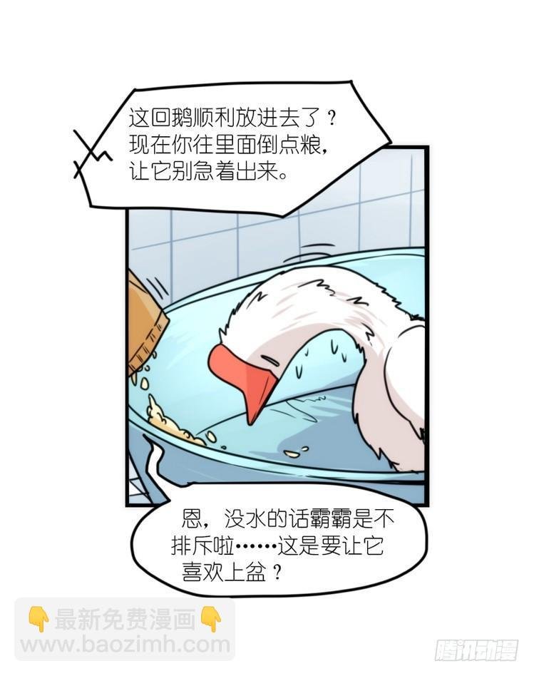 动协在行动15：正确调教法？