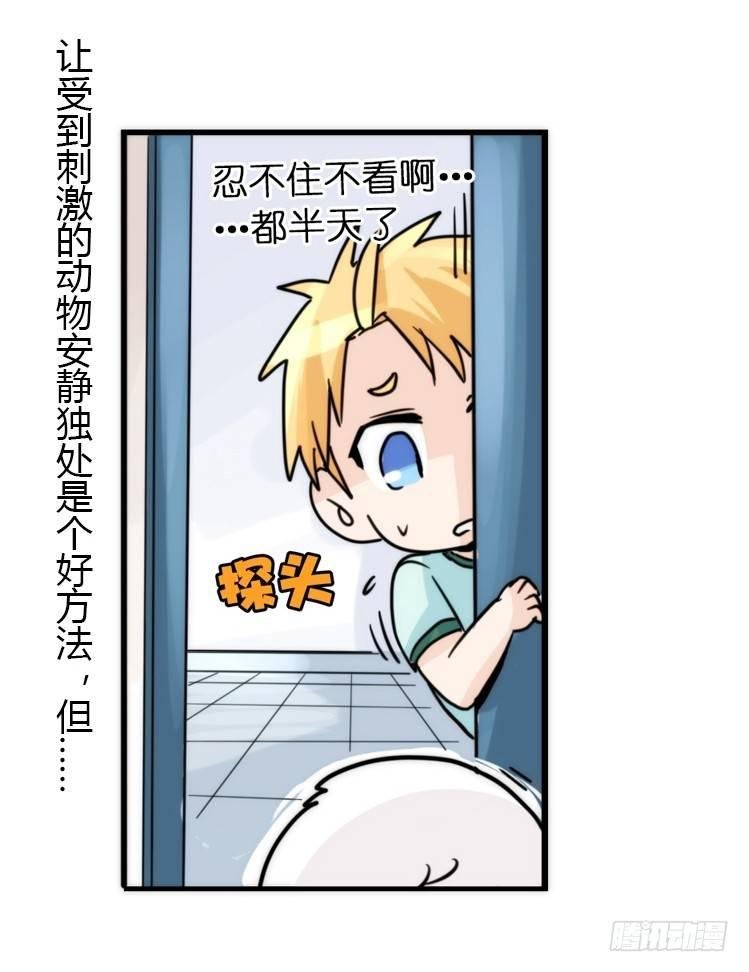 飞吧小少爷：心灵创伤？