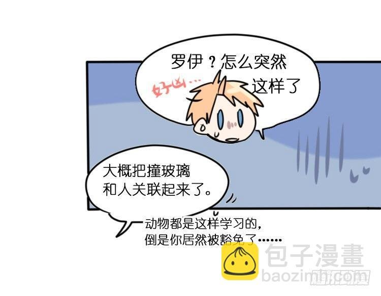 飞吧小少爷：心灵创伤？