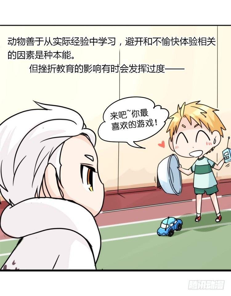 飞吧小少爷：心灵创伤？