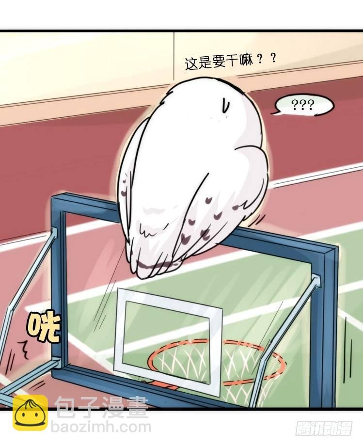 飞吧小少爷：心灵创伤？