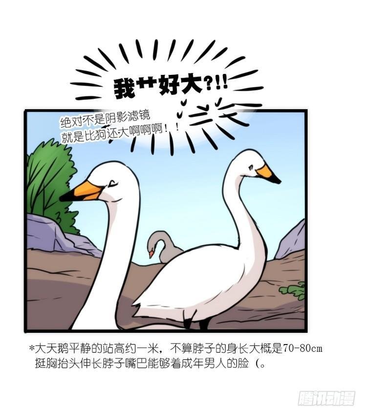 动协在行动17：是送命题！