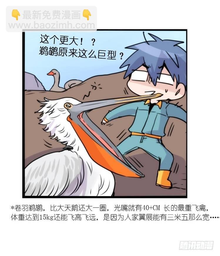 动协在行动17：是送命题！