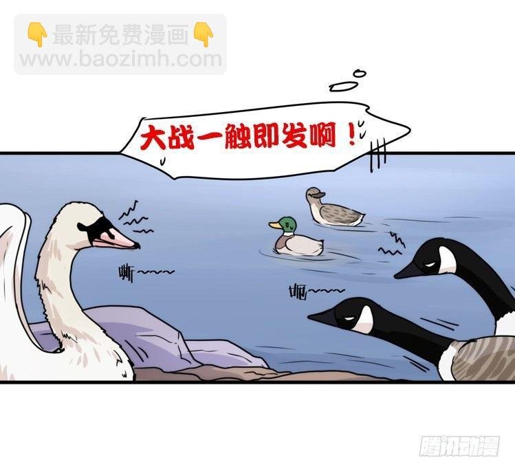动协在行动18：拯救单身鸟