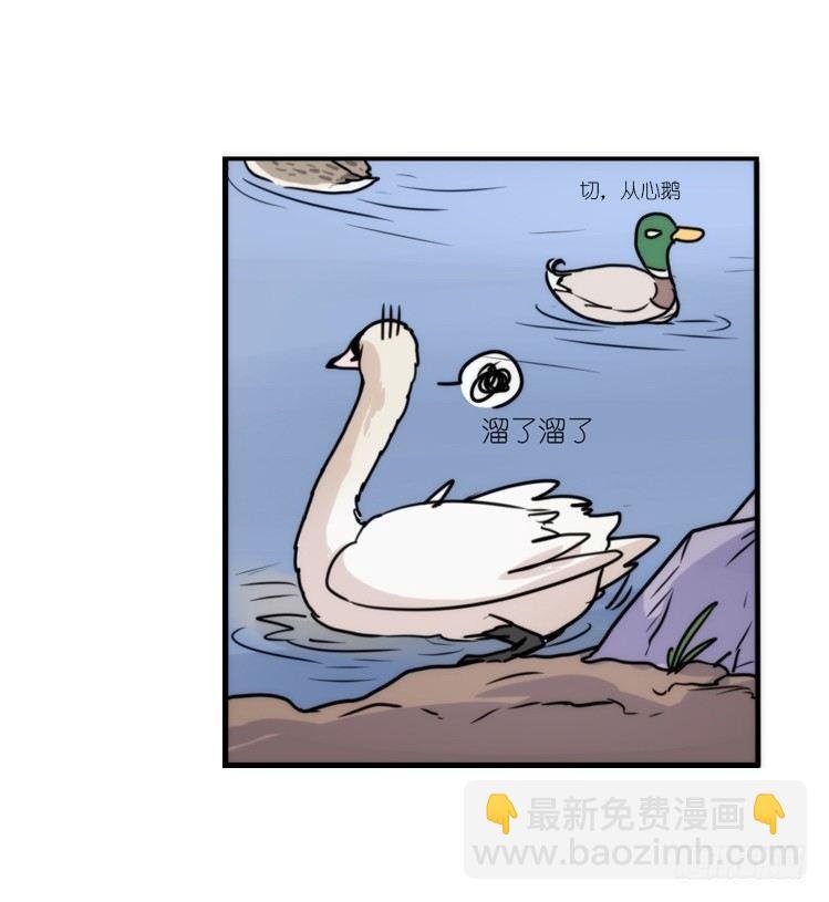 动协在行动18：拯救单身鸟