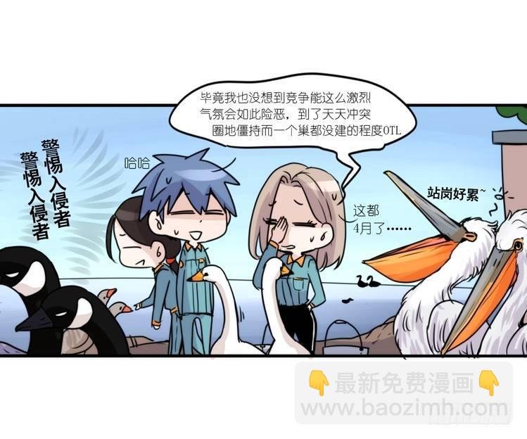 动协在行动18：拯救单身鸟